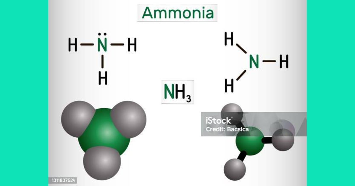 Senyawa Amonia - Amonia Molekul Nh3