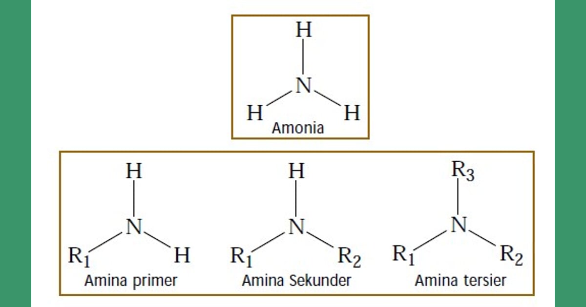 Senyawa Amonia - Pengertian, Rumus Umum