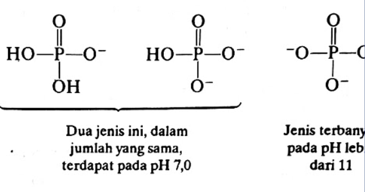 Senyawa Asam Fosfat - Asam Fosfat -