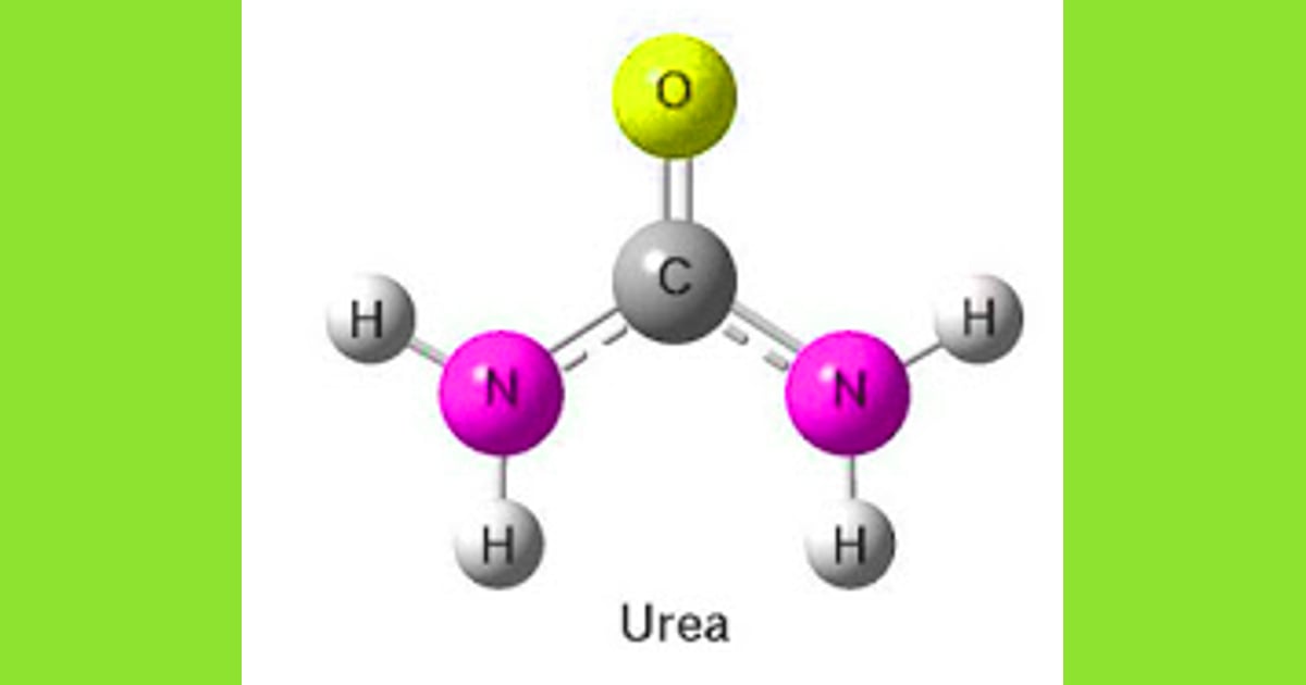 Senyawa Urea (Sejarah, Karakteristik, Kegunaan  Contoh) - Rumus Kimia Urea