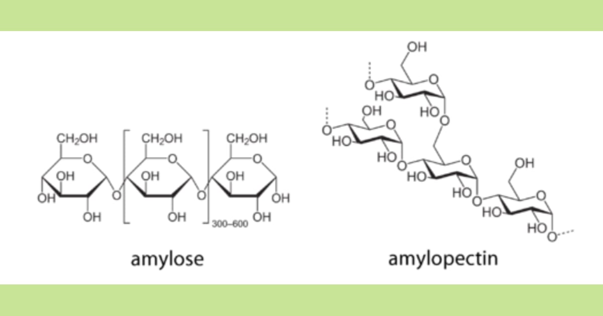senyawa Amilosa - Amilum, Amilosa dan