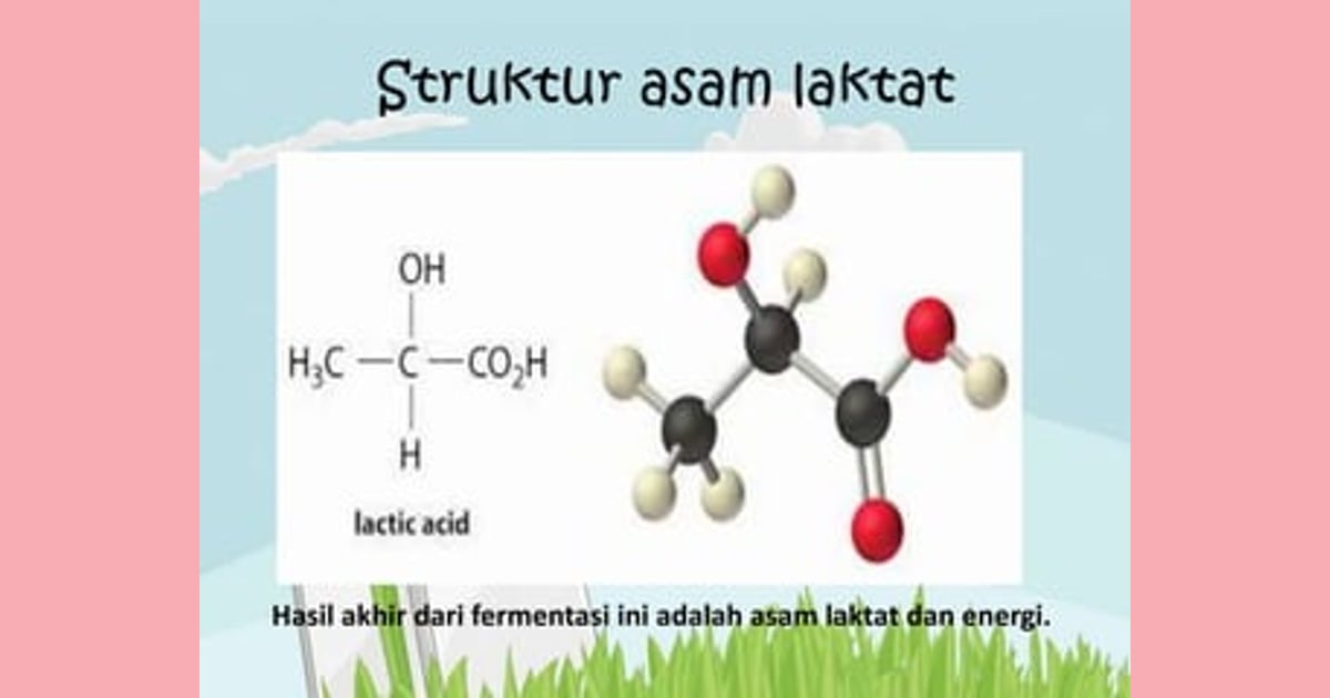 senyawa Asam laktat - Tugas ppt fermentasi