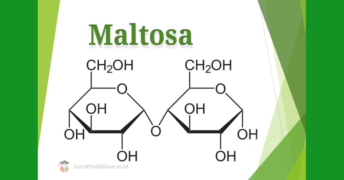 senyawa Maltosa - Pengertian Maltosa, Sifat,